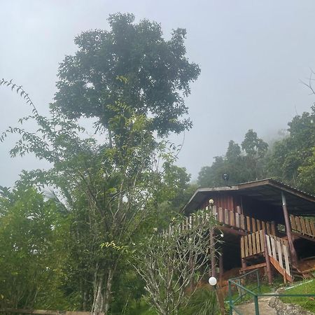 Forest Guesthouse สะเมิง ภายนอก รูปภาพ
