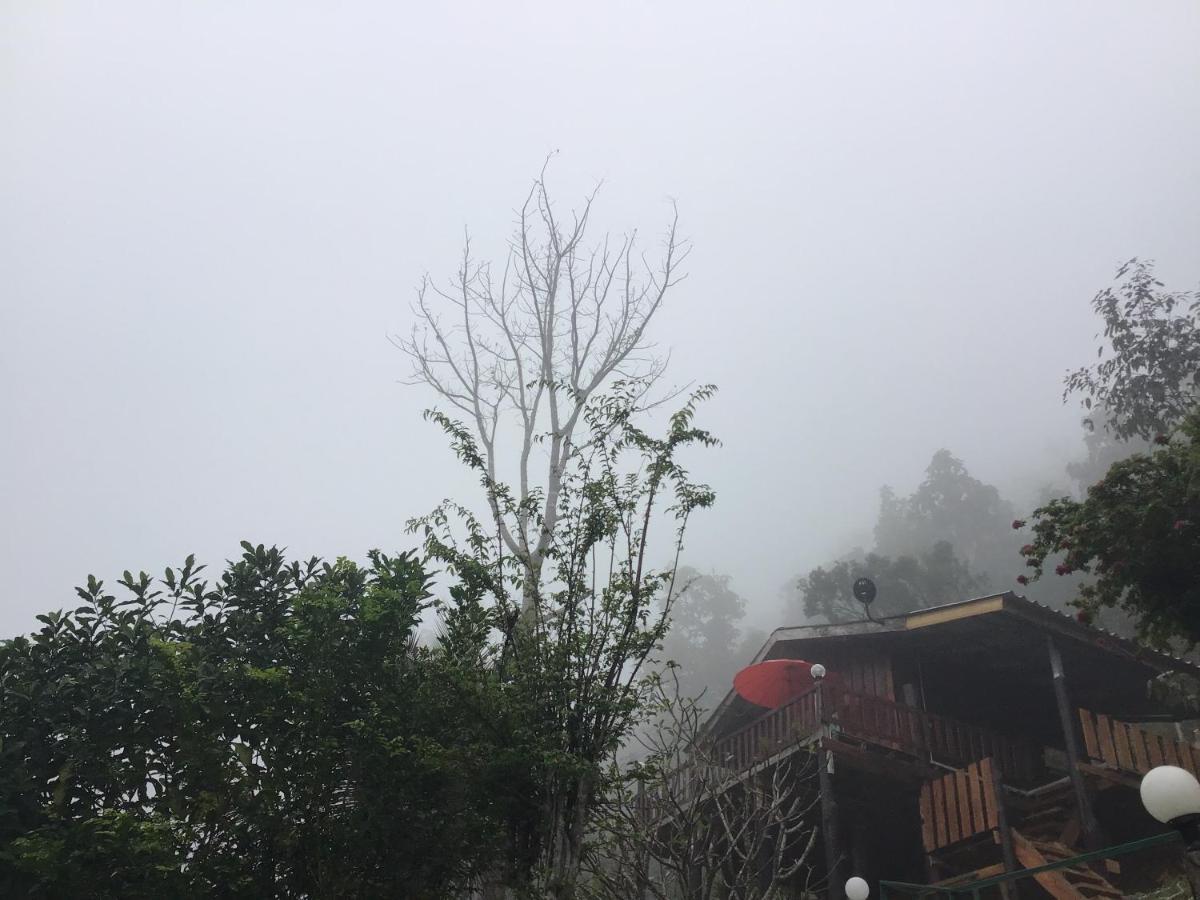 Forest Guesthouse สะเมิง ภายนอก รูปภาพ
