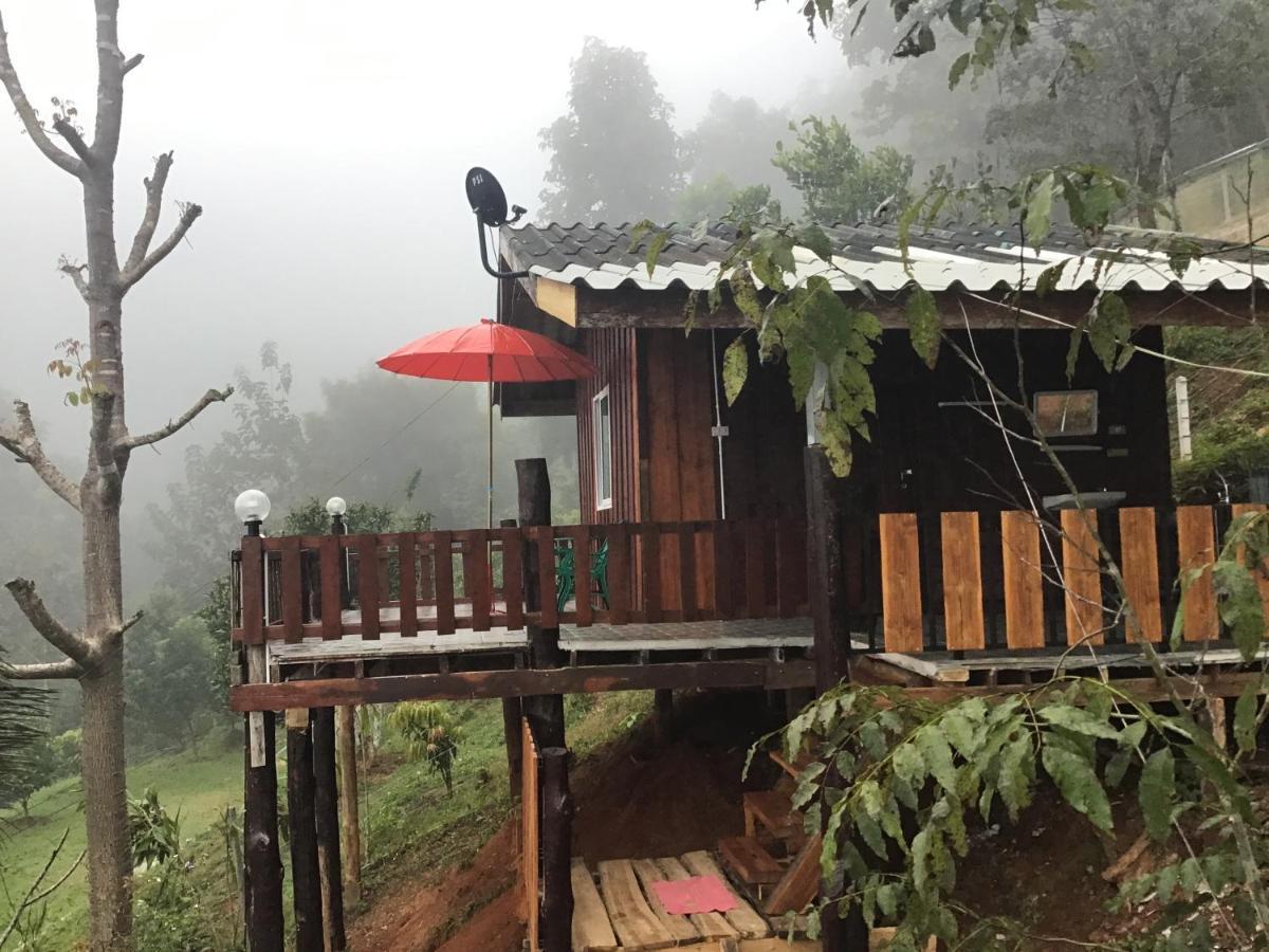 Forest Guesthouse สะเมิง ภายนอก รูปภาพ