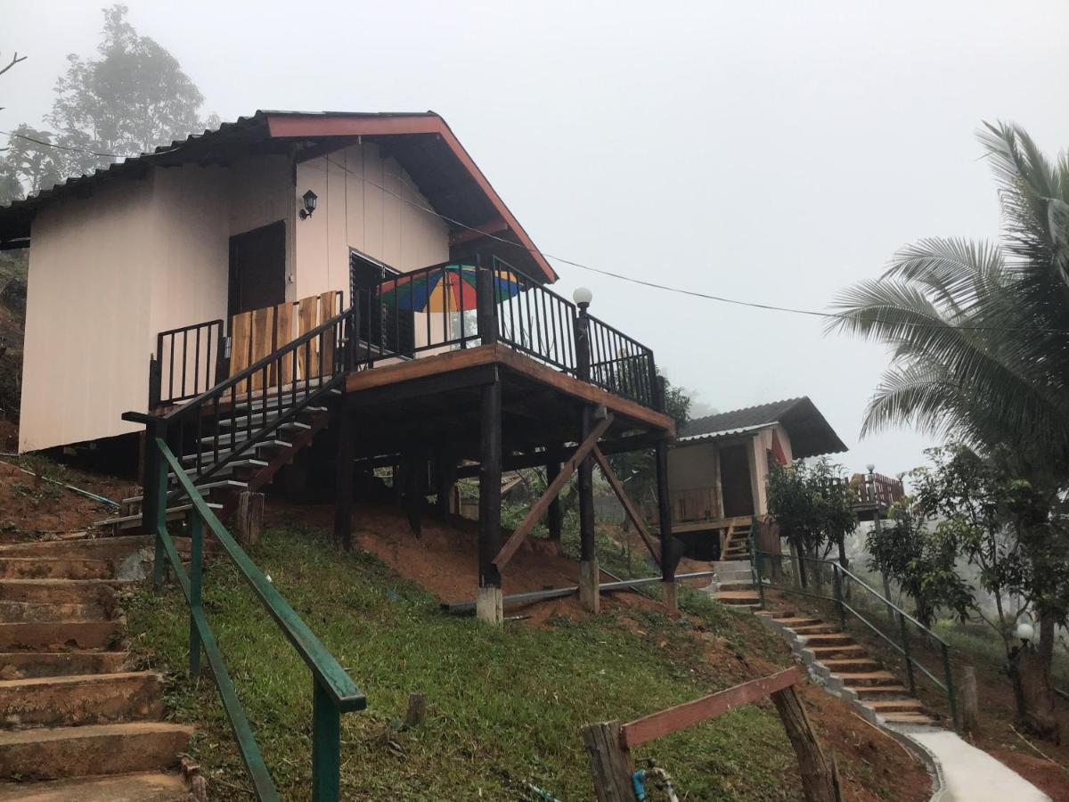 Forest Guesthouse สะเมิง ภายนอก รูปภาพ