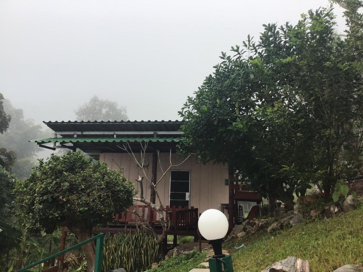 Forest Guesthouse สะเมิง ภายนอก รูปภาพ