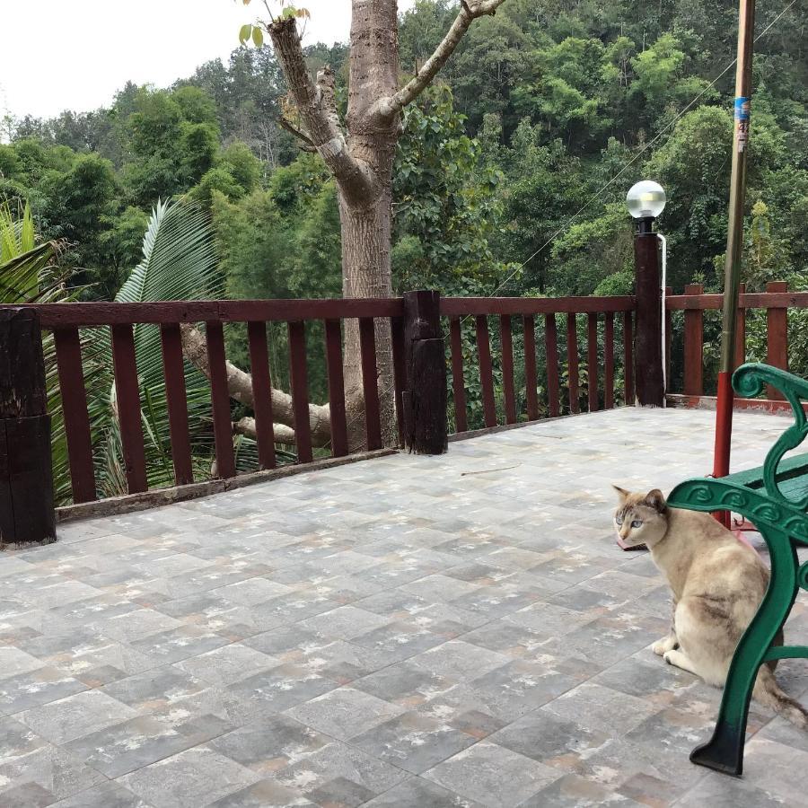 Forest Guesthouse สะเมิง ภายนอก รูปภาพ