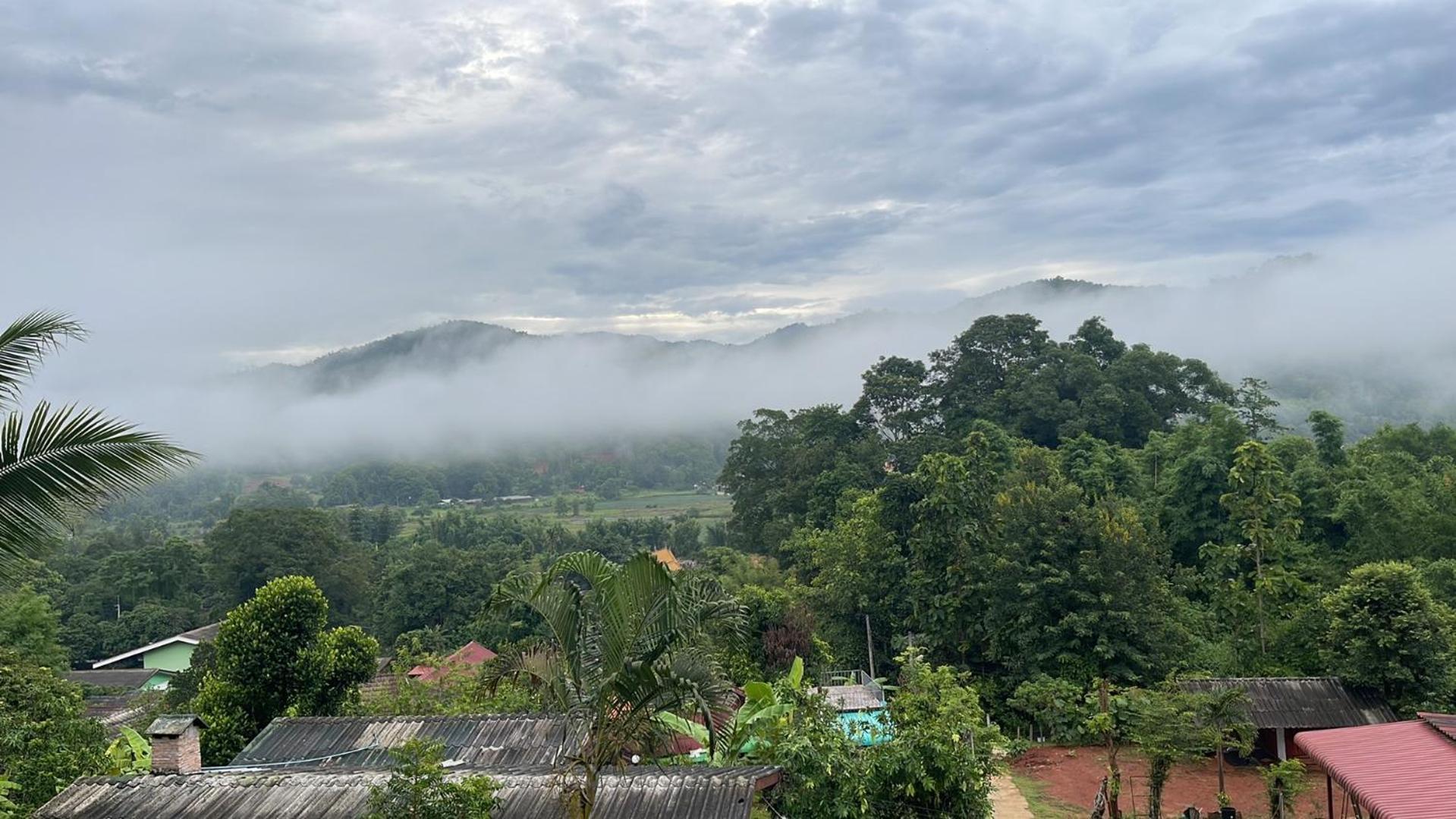 Forest Guesthouse สะเมิง ภายนอก รูปภาพ